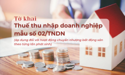 Mẫu tờ khai thuế thu nhập doanh nghiệp 02/TNDN