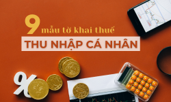 Tổng hợp 9 mẫu tờ khai thuế thu nhập cá nhân