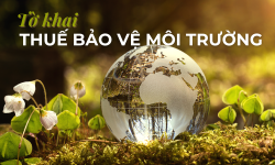 Tờ khai thuế bảo vệ môi trường mẫu 01/TBVMT