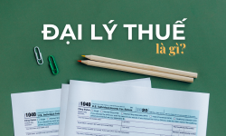 Đại lý thuế là gì? Vai trò của đại lý thuế