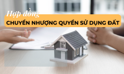 Mẫu hợp đồng chuyển nhượng quyền sử dụng đất
