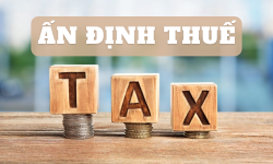 Ấn định thuế là gì? Các trường hợp thực hiện ấn định thuế