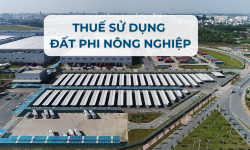 Quy định về thuế sử dụng đất phi nông nghiệp