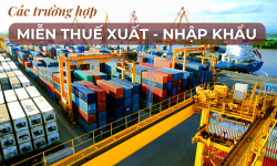 23 trường hợp được miễn thuế xuất nhập khẩu