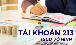 Hướng dẫn tài khoản 213 - TSCĐ vô hình