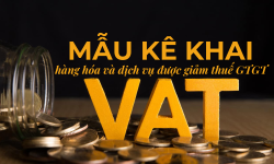Mẫu kê khai hàng hóa và dịch vụ được giảm thuế GTGT