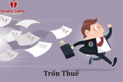 Điều gì sẽ xảy ra khi trốn thuế