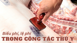 Biểu phí, lệ phí trong công tác thú y năm 2023