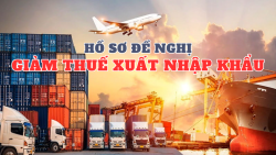 Hồ sơ đề nghị giảm thuế xuất nhập khẩu