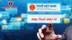 Hướng dẫn nộp tờ khai thuế điện tử