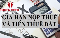 Đề xuất gia hạn thời hạn nộp thuế, tiền thuê đất năm 2023