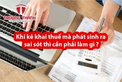 Khi kê khai thuế mà phát sinh ra sai sót thì cần phải làm gì ?
