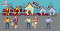 Thuế du lịch là gì? Mức đóng thuế du lịch ở Việt Nam