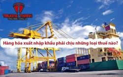 Hàng hóa xuất nhập khẩu phải chịu những loại thuế nào?