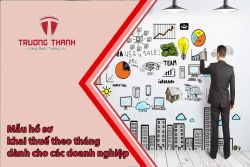 Mẫu hồ sơ khai thuế theo tháng dành cho các doanh nghiệp
