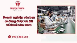Doanh nghiệp của bạn có đang được ưu đãi về thuế năm 2023