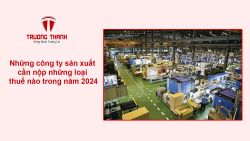Những công ty sản xuất cần nộp những loại thuế nào trong năm 2024