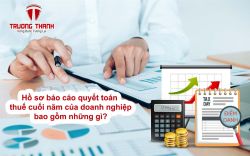 Hồ sơ báo cáo quyết toán thuế cuối năm của doanh nghiệp bao gồm những gì?