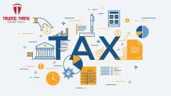 Hướng dẫn doanh nghiệp của bạn xác định kỳ khai thuế giá trị gia tăng năm 2024