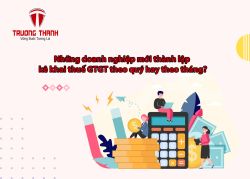 Những doanh nghiệp mới thành lập kê khai thuế GTGT theo quý hay theo tháng?