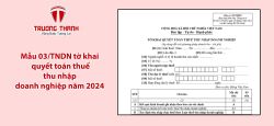 Mẫu 03/TNDN tờ khai quyết toán thuế thu nhập doanh nghiệp năm 2024