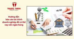 Hướng dẫn báo cáo tài chính doanh nghiệp để có thể vay vốn ngân hàng