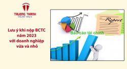 Lưu ý khi nộp BCTC năm 2023 với doanh nghiệp vừa và nhỏ