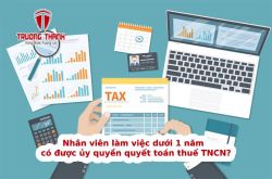 Nhân viên làm việc dưới 1 năm có được ủy quyền quyết toán thuế TNCN?
