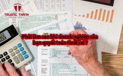 Phải làm sao khi doanh nghiệp của bạn quyết toán thuế sai ?