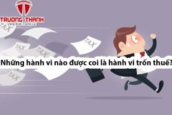 Những hành vi nào được coi là hành vi trốn thuế?