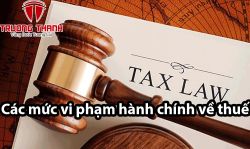 Tổng hợp các mức phạt vi phạm hành chính về thuế mới nhất năm 2024