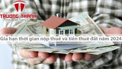 Gia hạn thời gian nộp thuế và tiền thuê đất năm 2024