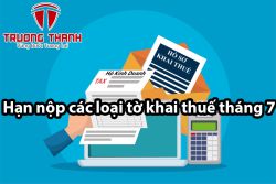 Lịch nộp các loại tờ khai thuế vào tháng 7/2024