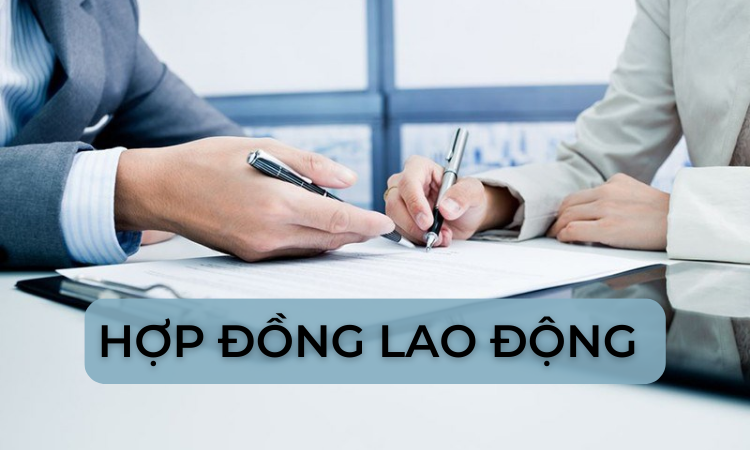 hợp đồng lao động