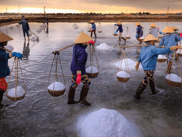 thu nhập miễn thuế TNCN