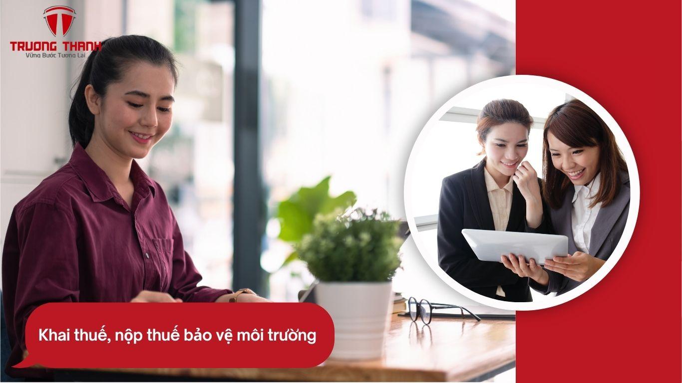 Phương Pháp Phân Bổ Thuế Bảo Vệ Môi Trường