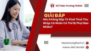 Nếu Không Nộp Tờ Khai Thuế Thu Nhập Cá Nhân Có Thể Bị Phạt Bao Nhiêu?
